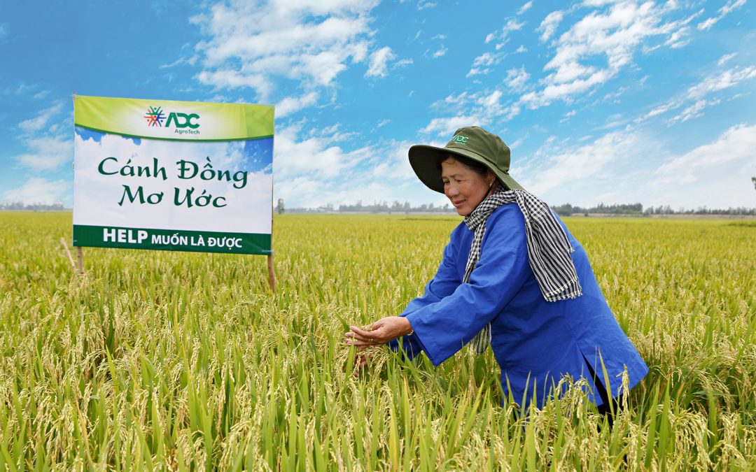 Gạo Tươi ADC cung cấp Gạo từ thiện